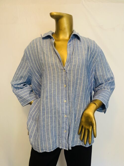 Blue Striped Shirt